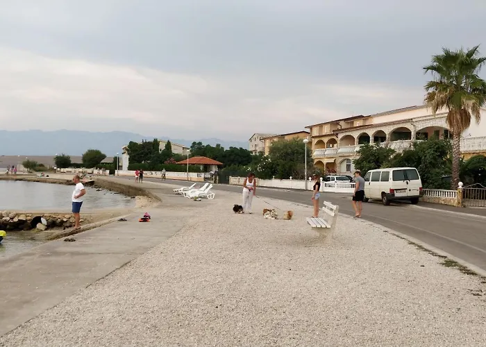 Διαμέρισμα Selena Vir